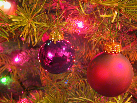 http://gracemagazine.files.wordpress.com/2007/12/christmas-tree480.jpg